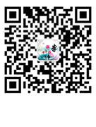 微信 微信